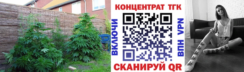 Купить закладки  Сосновый Бор  ТГК THC oil 