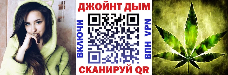 Купить закладки  Сосновый Бор  Конопля сатива 